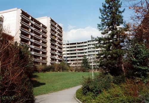 3 Zimmer, Kochnische, Bad, 2 Loggien, Aufzug, Tiefgarage, 12. Ebene - Foto 1