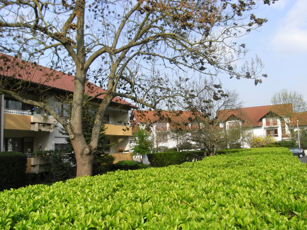 2 Zimmer, Küche, Bad, Balkon, Garage, 1.OG links - Photo 1