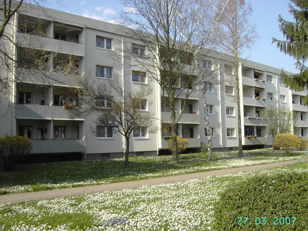 2 Zimmer, Küche, Dusche, Loggia, EG rechts - Photo 2